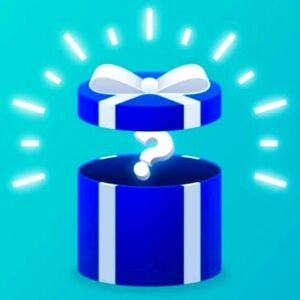 4 piece Mystery Box!